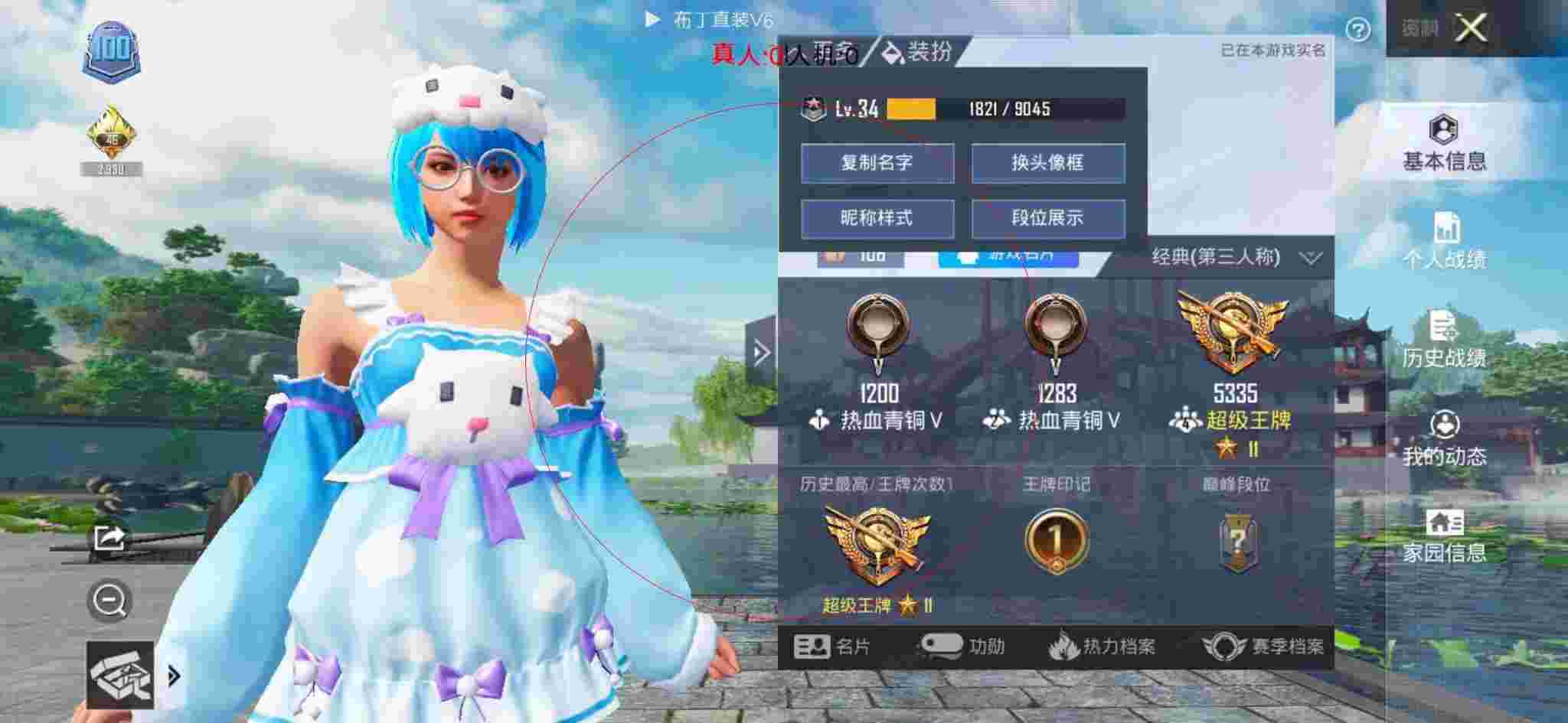 和平精英布丁直装透视 - 和平精英狗熊头像辅助预览图